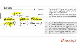 Assertion  The duckbilled Platypus and the spiny anteater both are egglaying animals [upl. by Illa]