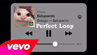 Beluga  Belupacito perfect loop Only the good part HD [upl. by Mcdonald]