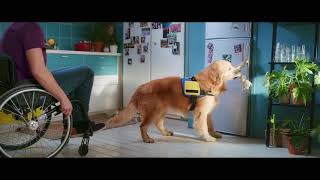 Honden hebben ook handen – Pedigree® DentaStix™ [upl. by Yeniffit]