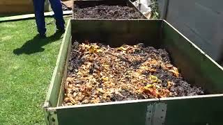 Bokashi composting made simple [upl. by Decato]