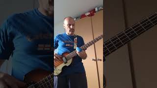 Peaches  The Presidents of the United States of America bass cover [upl. by Dittman141]