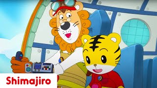 Shimajiros First Flight ✈️ Adventure Special  kids videos for kids  Shimajiro [upl. by Atteuqal]