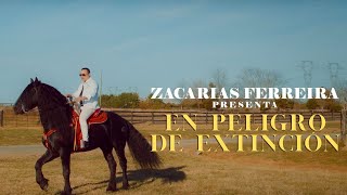 Zacarías Ferreira  EN PELIGRO DE EXTINCIÓN video oficial [upl. by Enyahs490]