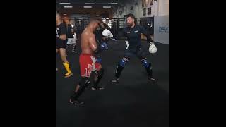 Mauricio Ruffy Going All Out in Sparring 👊🔥 UFC MMA mmafighter [upl. by Ecinwahs]