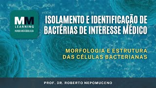 Isolamento e Identificação de Bactérias  Morfologia e Estrutura das Células Bacterianas [upl. by Gerardo984]