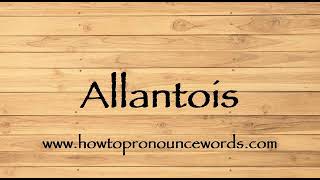 How To Pronounce Allantois  How To say Allantois New Video [upl. by Trakas]