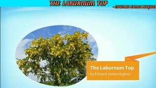 The Laburnum Top By Edward Ted James Hughes  Hornbill  XI [upl. by Asi]