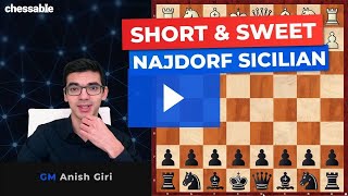 The Najdorf Sicilian explained by GM Anish Giri [upl. by Bidle515]