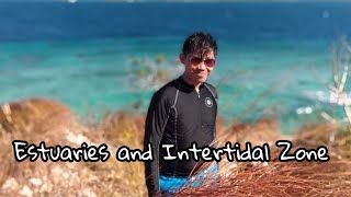 Estuaries and Intertidal Zones  Science 5 Simple Discussion Explained in Tagalog [upl. by Aihsercal884]