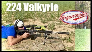 Shooting The Palmetto State Armory 224 Valkyrie Upper At 610 Yards 🇺🇸 [upl. by Nauqet]