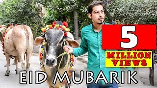 Bakra Eid Mubarik 2016 l Peshori vines Official [upl. by Eeslek150]