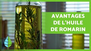 HUILE DE ROMARIN 🪔🍃 Propriétés AVANTAGES et comment le faire [upl. by Berrie]