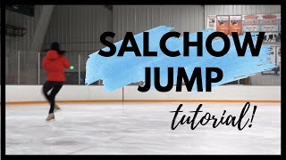 Salchow Jump  Figure Skating Lessons [upl. by Adidnere]