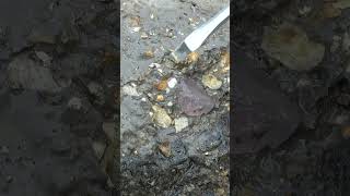 😇Natural ore fields excavate beautiful crystals [upl. by Innig]