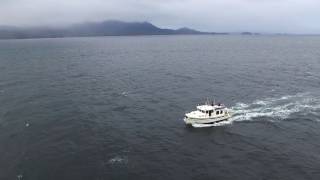 Crossing Dixon Entrance  Gates of the Inside Passage [upl. by Ahsaet]