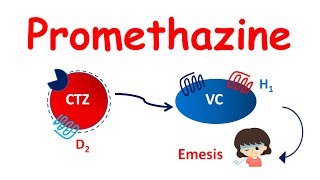 Promethazine tablets  Mechanism Precautions side effects amp uses [upl. by Beutner]