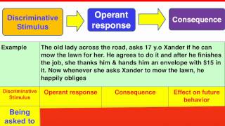 3 phase Operant Conditioning model  VCE Psychology [upl. by Aiuqat]