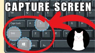 How To Take a Screenshot on Windows 11 EASY [upl. by Oiluj458]