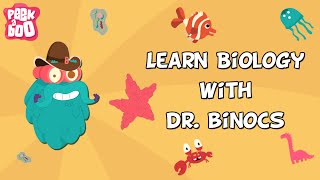 Learn Biology With Dr Binocs  Compilation  Learn Videos For Kids [upl. by Adnek]