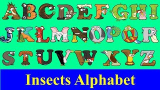 Insect Alphabet with Alphabetimals  ABC insects  AZ Insect flashcards  az Bugs alphabet book [upl. by Roane]