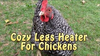 Cozy Legs CL150 Chicken Heater Install [upl. by Anaidirib]