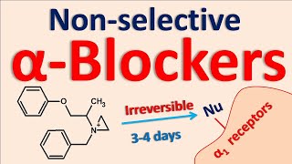 Nonselective alpha blockers [upl. by Ynettirb]