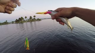 Flounder Fishing the Indian River [upl. by Mainis]