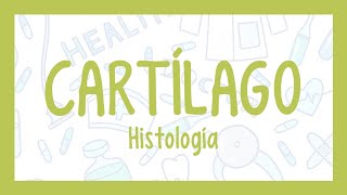 CARTÍLAGO ¡Fácil explicación Histología [upl. by Akenal]