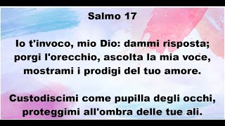 Salmo 17 [upl. by Rexanna]