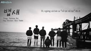 ARMYsVN Vietsub BTS 방탄소년단  뱁새 ParrotbillCrow TitTryHardChim Khướu [upl. by Delacourt]