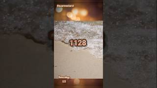 1128 Spiritual Meaning numerology suannestarot inpiration [upl. by Yemarej]