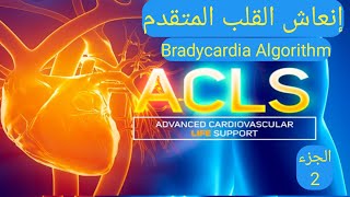 أنعاش القلب المتقدم  ADVANCED CARDIAC LIFE SUPPORT  BRADYCARDIA ALGORITHM  ACLS  الجزء 2 [upl. by Llekcir591]