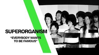 Superorganism  ‘Everybody Wants To Be Famous’ Live From The Independent  San Francisco CA [upl. by Stacee]