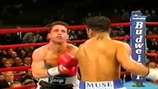 TOP 5 ARTURO GATTI KNOCKOUTS [upl. by Irolam]