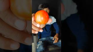 Exploding Tomato With Rubber Bands shorts [upl. by Gnen788]