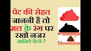 मल के रंग को देखकर अपनी सेहत health के बारे में कैसे पता करें मल के रंग से पेट रोग की पहचान [upl. by Chamkis]