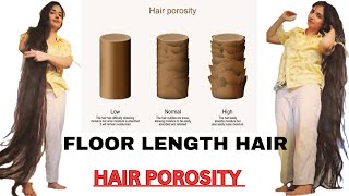 How to Check Hair Porosity Which Oil you can use for Your Hair Porosity Hair Porosity In Detail [upl. by Sorel]