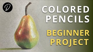 COLOURED PENCILS  Lesson amp Project for Beginners [upl. by Klara]