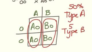 Freshman genetics Blood type problems [upl. by Hube]