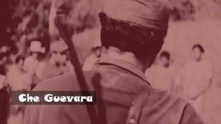 Che guevara status english for whatsapp  CheGuevara1 [upl. by Esemaj247]