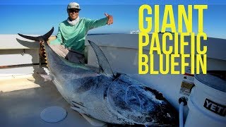 Big Tuna Dreams Season 1 Episode 2 Giant Pacific Bluefin Tuna [upl. by Auqinal]