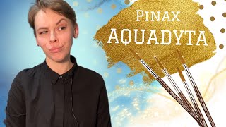 Кисти Pinax Aquadyta  ОБЗОР [upl. by Karna548]