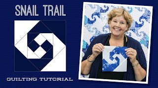 Make a Snail Trail Quilt with Jenny Doan of Missouri Star Video Tutorial [upl. by Aniraz]