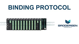 Brodersen Binding Protocol [upl. by Etnaled205]