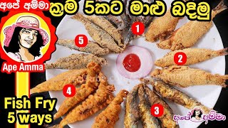 ✔ ක්‍රම 5කට මාළු බදින රසම ක්‍රමය fish fryMaalu badimu 5 Methods of Fried fish by Apé Amma [upl. by Kristoforo157]