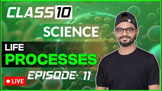 EPISODE  11 LIFE PROCESSES  EXCRETION IN HUMANS amp PLANTS [upl. by Hubie922]