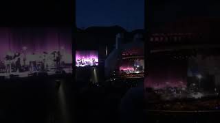 BOB SINGS STELLA BLUE AT THE BOWL bobdylan [upl. by Aniale]