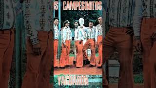 LOS CAMPESINITOS DE YAGUARON paraguay musicaparaguaya polkaparaguaya 80s [upl. by Uni]