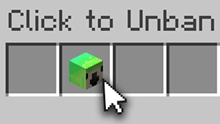 I was Unbanned on the LifeSteal SMP [upl. by Atima]