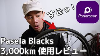 【実用レビュー】パナレーサーのパセラを街乗り自転車タイヤとして選択した理由と実走した感想  Pasela Blacks [upl. by Joashus]